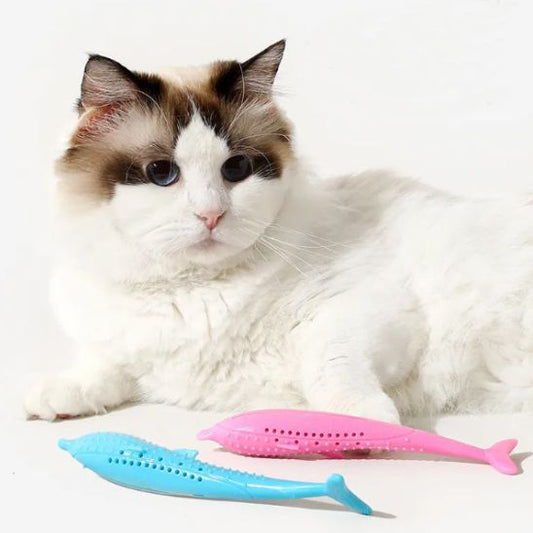 Jouet Interactif Chat - CatnipToys™