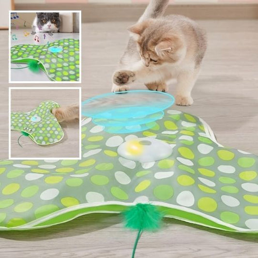 Jeu interactif Hide&Seek™ |  Jouet pour chat
