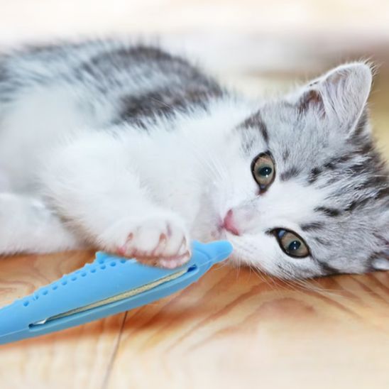 Jouet Interactif Chat - CatnipToys™