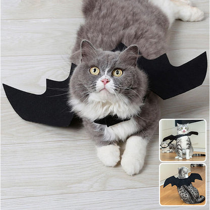 Déguisement Batchat