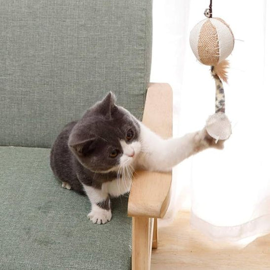 Bâton CatchMe™ | Jouet pour chat