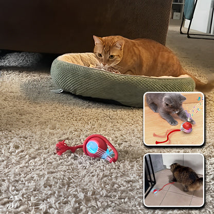 Jeu Chat - CatToysBall™