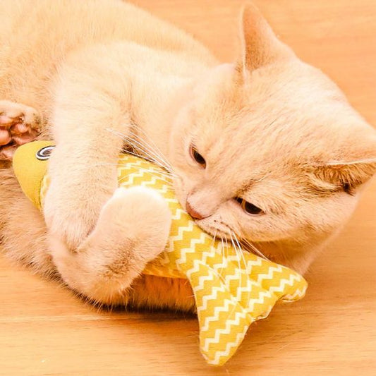 Poisson CatNip™ | Jouet pour chat