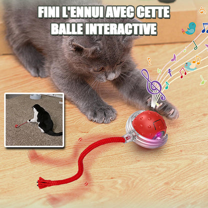 Jeu Chat - CatToysBall™