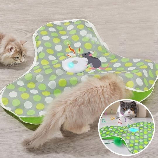 Jeu interactif Hide&Seek™ |  Jouet pour chat