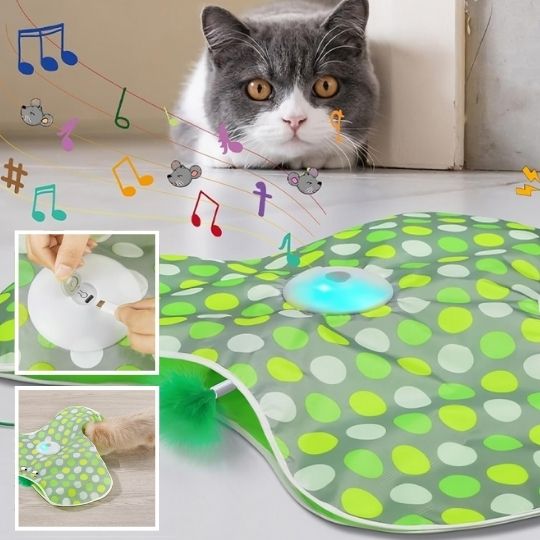 Jeu interactif Hide&Seek™ |  Jouet pour chat