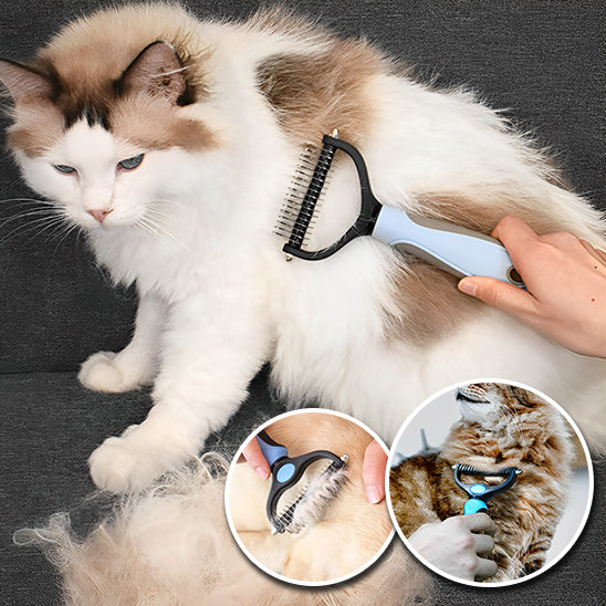 Brosse anti-noeuds