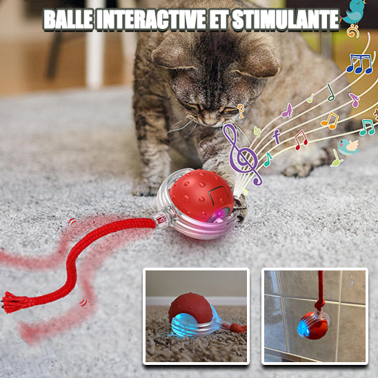 Jeu Chat - CatToysBall™