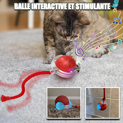 Jeu Chat - CatToysBall™