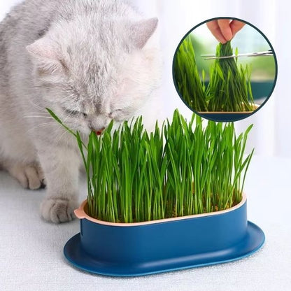 Germoir CatNipDesign ™ | Germoir herbe à chat
