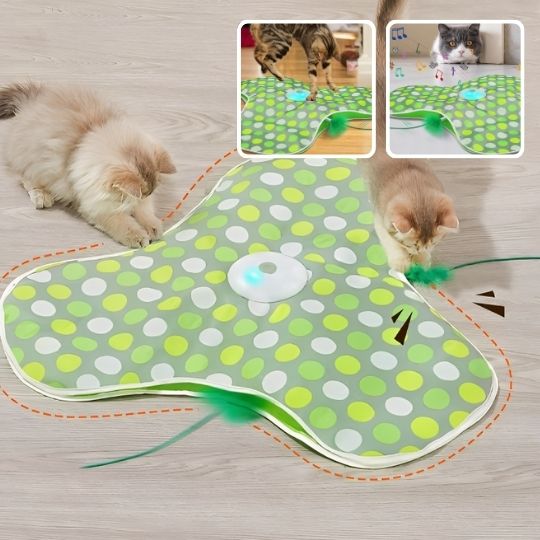 Jeu interactif Hide&Seek™ |  Jouet pour chat