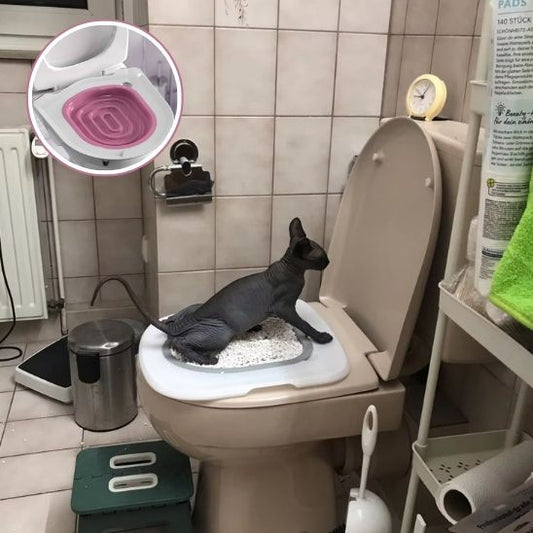 Siège de toilette pour chat