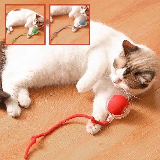 Jeu Chat - CatToysBall™