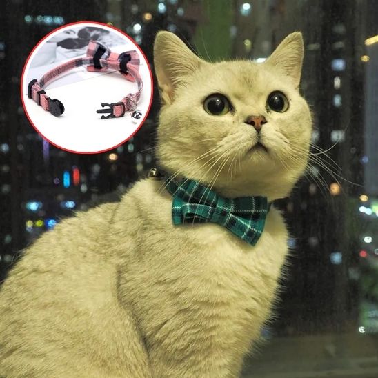 Collier Papillon Purrrrfect