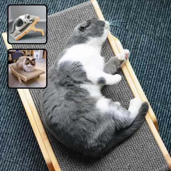 Grattoir pour chat multi-position
