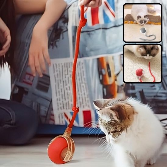 Jeu Chat - CatToysBall™