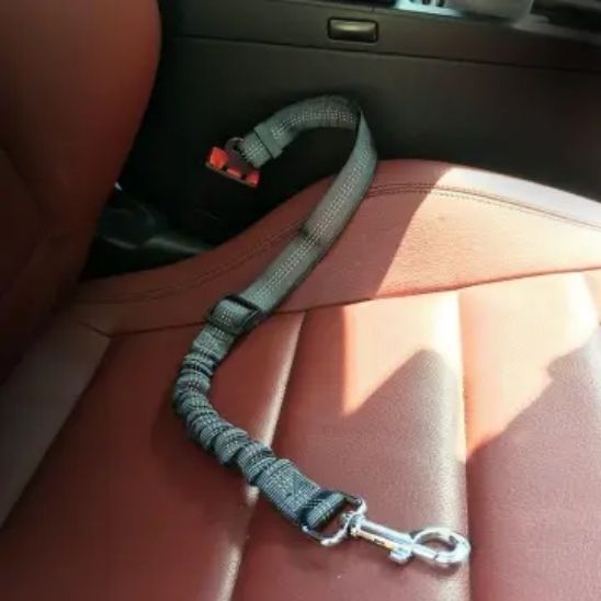 Harnais pour auto