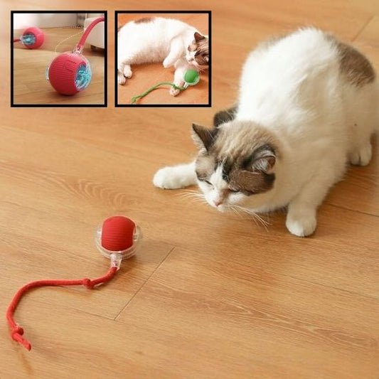 Jeu Chat - CatToysBall™
