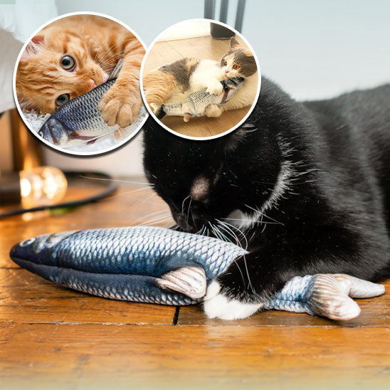 jouet-interactif-pour-chat