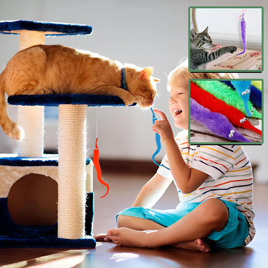 jouet-vers-chat-curieux