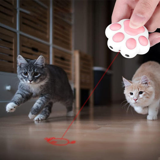 Laser FunFou™ | Laser pour chat