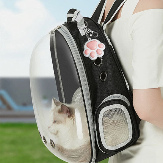 Laser FunFou™ | Laser pour chat
