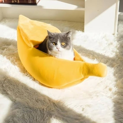 lit-rigolo-pour-chat