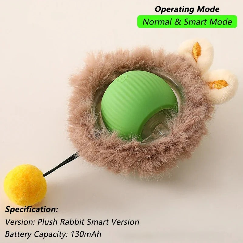 Jeu Chat - CatToysBall™