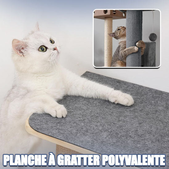 planche-à-gratter-polyvalente