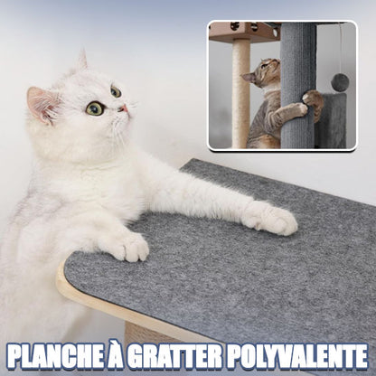 planche-à-gratter-polyvalente