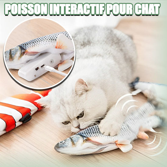 poisson-interactif-pour-chat