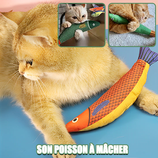 poisson-a-macher
