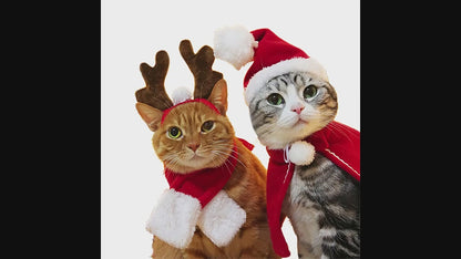 Déguisement pour Chat | Chat-per Noël