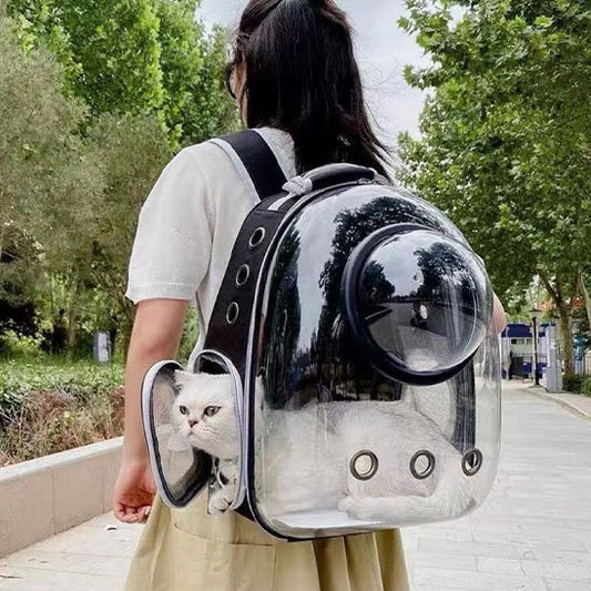 Sac de transport Chat | Voyagez Confort
