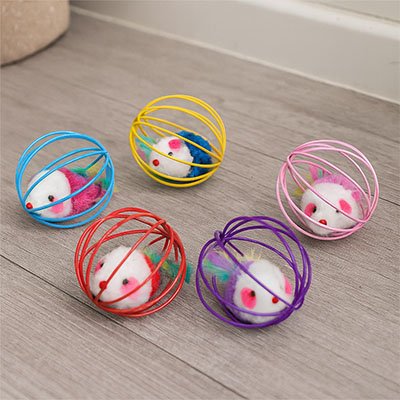 Jouet pour Chat | ChaseMouse