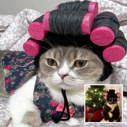 Déguisement pour chat | Bigoudis Fun
