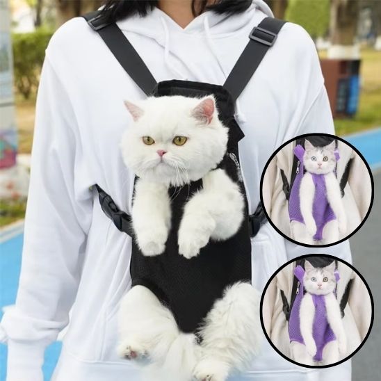 sace-promenade-chat