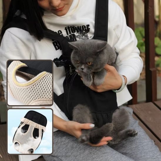 sac-promenade-chat