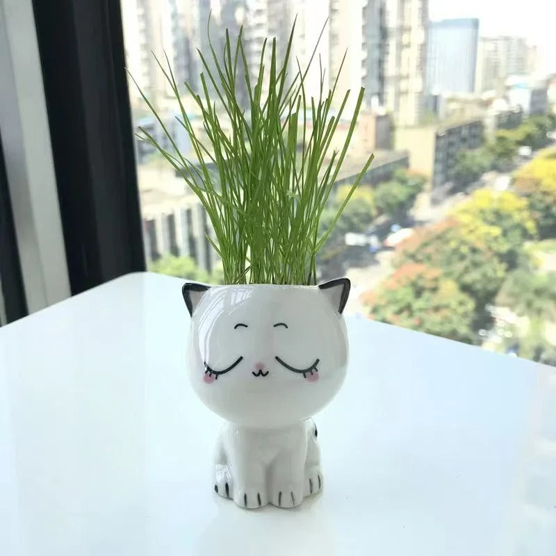 🪴Pots de fleurs Meow™🪴