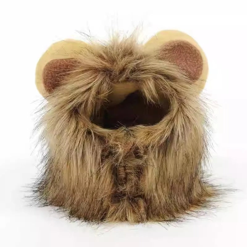 Chapeau Lion pour chat