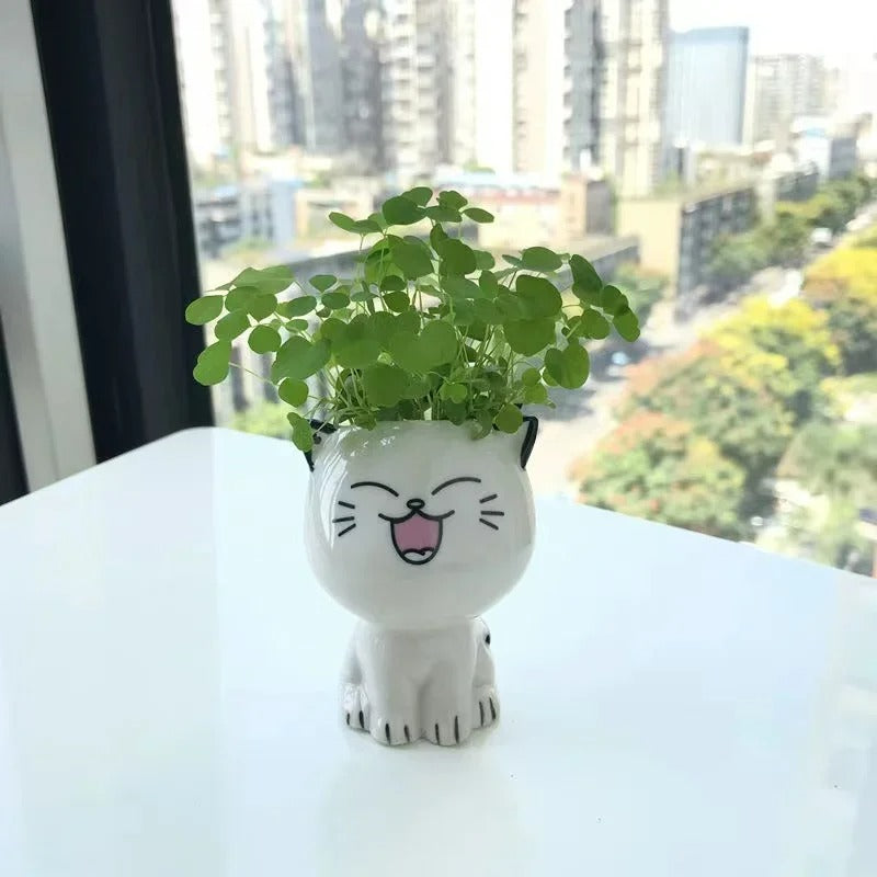 🪴Pots de fleurs Meow™🪴